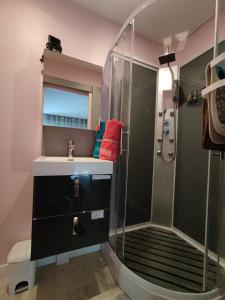 y baño con lavabo y ducha. en Charmant petit Studio en duplex, en Le Fenouiller