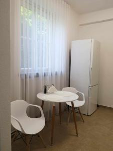 eine Küche mit einem Tisch und Stühlen sowie einem Kühlschrank in der Unterkunft Apartmán Dlouhá 207 in Leitmeritz