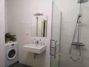 ein Badezimmer mit einem Waschbecken und einer Waschmaschine in der Unterkunft Apartmán Dlouhá 207 in Leitmeritz