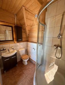 a bathroom with a shower and a toilet and a sink at JEDYNOCKA in Kościelisko