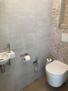 een badkamer met een toilet en een wastafel bij Landgoedhuisje de Blije Uil in Zwolle