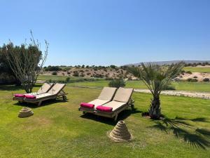 twee ligstoelen op het gras in een veld bij Luxueuze villa Taghazout Bay in Taghazout