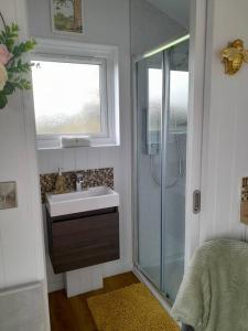 a bathroom with a shower and a sink and a window at Hillview Haven at Hillcrest in Liskeard