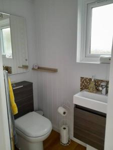 a bathroom with a toilet and a sink and a window at Hillview Haven at Hillcrest in Liskeard