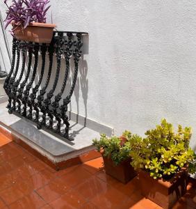 un grupo de plantas en macetas sentadas junto a una pared en Apartamento Valencia, en Catarroja