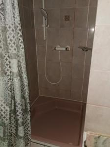 uma casa de banho com chuveiro em Märchenschloss em Hart bei Graz