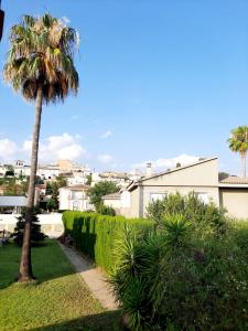 una palmera en un patio con acera en Huétor Vega precioso apartamento, en Huétor Vega