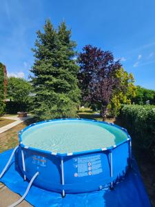 un trampolín azul en un patio con un árbol en Fenyves Apartman en Tiszafüred