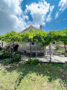 a house with trees in front of it at Luštica Old House in Tivat