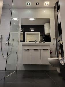 ヤスタルニャにあるKamienica Nadmorskaのバスルーム(洗面台、トイレ、シャワー付)