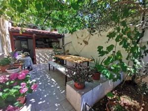 Zahrada ubytování Apartman Nekic