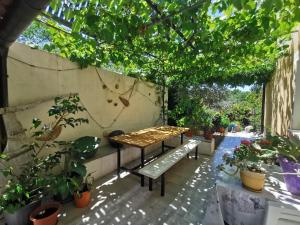 Zahrada ubytování Apartman Nekic