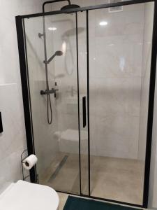 a shower with a glass door in a bathroom at Apartmán pri parku in Solčany
