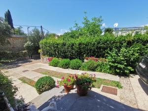 Zahrada ubytování Apartman Nekic