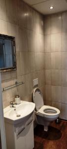 een badkamer met een toilet en een wastafel bij Liahof in Ullared