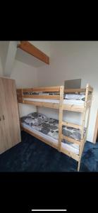 Ce dortoir comprend 2 lits superposés dans une chambre dotée d'un mur. dans l'établissement HOSTEL BBC, à Prague