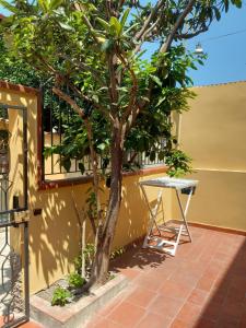 un petit arbre à côté d'une table sur une terrasse dans l'établissement Appartamento La Dama, à Scilla