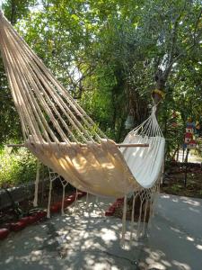 un hamac est suspendu dans un parc dans l'établissement Jenny's House, à Yerakiní