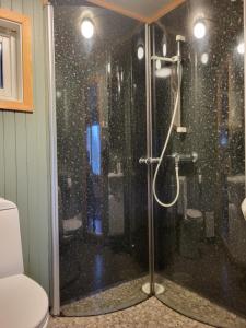 a shower with a glass door in a bathroom at Koselig studioleilighet i Svolvær - Lofoten ved Svolværgeita, Djevelporten in Svolvær