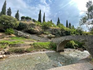 un pont en pierre sur une rivière avec des arbres et des buissons dans l'établissement Old Town Oasis, à Podgorica