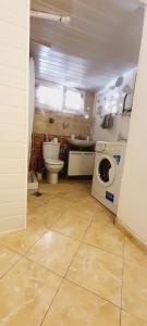 ein Badezimmer mit einem WC und einer Waschmaschine in der Unterkunft Studio meublé avec piscine partagée in La Ferté-Gaucher