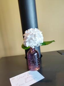 a purple vase with flowers on a table with a note at Karri Mia Chalets and Studios in Denmark