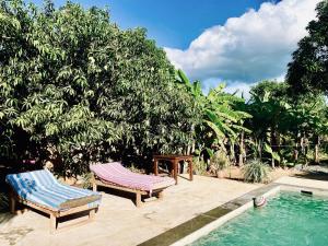 Swimmingpoolen hos eller tæt på Shan Mango Homestay