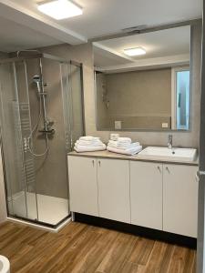 uma casa de banho com um chuveiro e um lavatório. em San Pellegrino Suites em San Pellegrino Terme