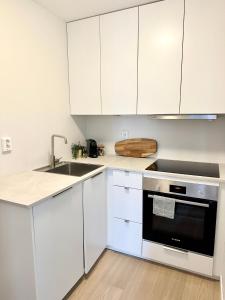 Kuchyň nebo kuchyňský kout v ubytování Knøsesmauet Apartment