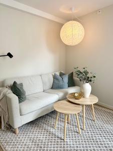 Posezení v ubytování Knøsesmauet Apartment