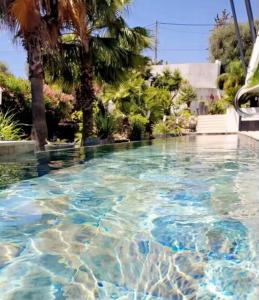 uma piscina com água azul e palmeiras em COTTAGE MARIN avec VUE MER em Nice