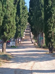 Afbeelding uit fotogalerij van Apartments Sirius in Korčula