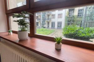 un rebord de fenêtre avec trois plantes en pot dans l'établissement Modern City Apartment l Netflix l fast wifi l Xbox, à Berlin