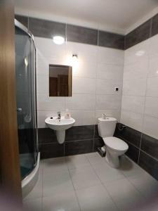 uma casa de banho com um WC, um lavatório e um chuveiro em Gościniec Na Stoku pokoje 2,3,4 osobowe, cisza, spokój, widok na stok narciarski, lasy, łaki em Bobliwo
