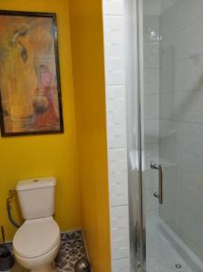 a bathroom with a toilet and a shower at Le Logis de Saint Cyr in Issoudun