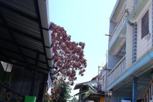 una calle en una ciudad con edificios y un árbol en SPOT ON 92760 Global Media Homestay Syariah, en Semarang