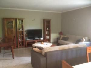 een woonkamer met een bank en een tv bij Villa avec piscine privée à Avignon in Avignon