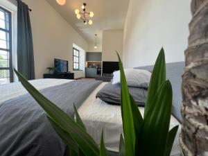 1 dormitorio con cama y planta en Apartment YELLOW ROSE, Perfect Location with Free Parking, 24h Checkin & Balcony en Piešťany