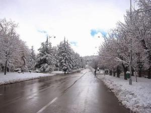 a snow covered street with trees on the side at Tranquil Oasis in the Heart of Ifrane in Ifrane
