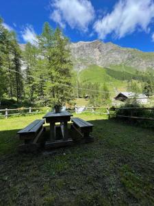 Příroda nedaleko apartmánu
