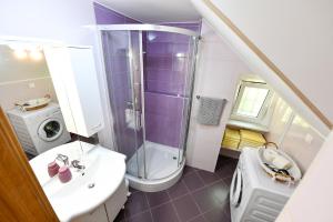 a bathroom with a shower and a sink and a toilet at Apartments Dolores Old Town in Mošćenička Draga +24 photos