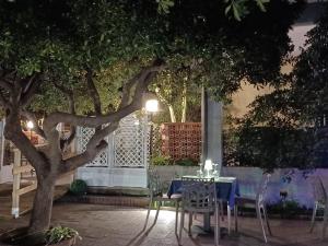 Zahrada ubytování Hotel Acciaroli