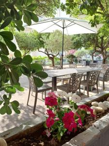 Zahrada ubytování Hotel Acciaroli