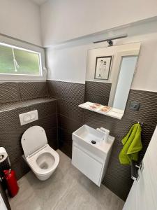 a small bathroom with a toilet and a sink at Perla & Palma in Zaboric +34 photos