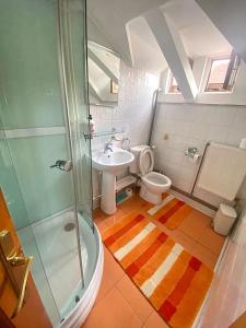 a bathroom with a shower and a toilet and a sink at Casa de Vacanta Catrinel in Ranca