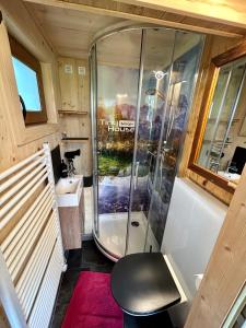 Ehenbichl的住宿－Tiny House Singer - contactless check-in - Sauna，带淋浴和盥洗盆的浴室