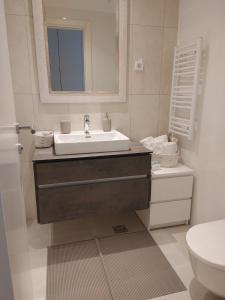 a bathroom with a sink and a toilet at GIGI Apartment in Belgrade