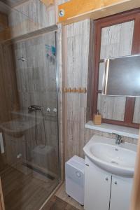 a bathroom with a shower and a sink at PENZION HARRY na sjezdovce KRKONOŠE in Vysoké nad Jizerou