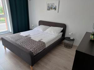 Posteľ alebo postele v izbe v ubytovaní MAK Apartment Grobla - free parking - 3 rooms