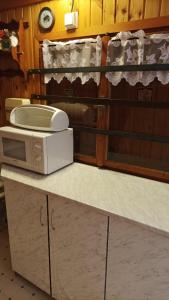 a microwave sitting on top of a counter at Old cottage, steep hill, read info and rating in Rozdrojovice